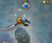 SM64DS The Manta Rays Reward.png