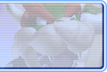Thumbnail for version as of 01:53, July 3, 2024