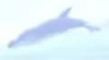 Thumbnail for version as of 10:21, April 7, 2025