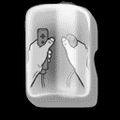 Thumbnail for version as of 01:28, July 17, 2024