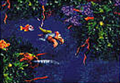 Thumbnail for version as of 02:15, May 10, 2009