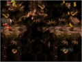 Thumbnail for version as of 14:36, January 18, 2011