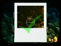 Thumbnail for version as of 07:05, April 2, 2012