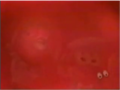 Thumbnail for version as of 20:13, November 18, 2010