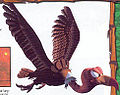 Thumbnail for version as of 05:09, March 13, 2009
