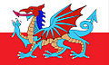 Thumbnail for version as of 02:10, November 9, 2010