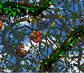 Thumbnail for version as of 00:22, February 12, 2010