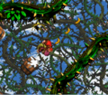 Thumbnail for version as of 01:01, August 19, 2010