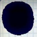 Thumbnail for version as of 13:03, January 29, 2013