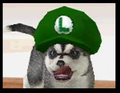 Thumbnail for version as of 19:48, September 1, 2007