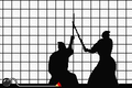Thumbnail for version as of 17:14, December 6, 2009