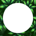 Thumbnail for version as of 08:04, January 31, 2025