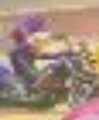 Thumbnail for version as of 18:23, January 16, 2025