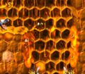 Thumbnail for version as of 23:46, March 18, 2011