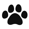 Thumbnail for version as of 02:14, January 2, 2015