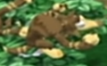 Thumbnail for version as of 11:51, January 22, 2019
