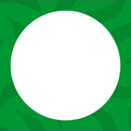 Thumbnail for version as of 08:06, January 31, 2025