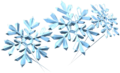 Thumbnail for version as of 20:04, February 24, 2021