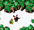 Thumbnail for version as of 05:39, June 26, 2009