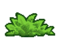 Thumbnail for version as of 06:13, May 9, 2021