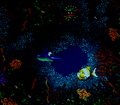 Thumbnail for version as of 19:14, September 6, 2008