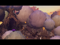 Thumbnail for version as of 16:42, April 12, 2023