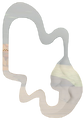 Thumbnail for version as of 23:56, November 22, 2025