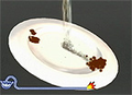 Thumbnail for version as of 04:58, August 15, 2011