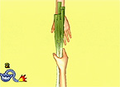 Thumbnail for version as of 01:32, August 15, 2011