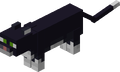 Thumbnail for version as of 14:03, June 8, 2024