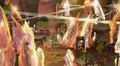 Thumbnail for version as of 21:17, January 20, 2010