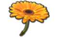 Thumbnail for version as of 22:50, August 6, 2015