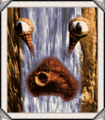 Thumbnail for version as of 12:56, July 17, 2010