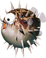 Thumbnail for version as of 15:46, August 10, 2018