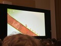 Thumbnail for version as of 00:28, March 21, 2024