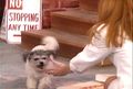 Thumbnail for version as of 02:58, May 18, 2007