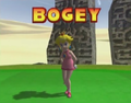 Thumbnail for version as of 00:30, January 1, 2014