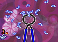 Thumbnail for version as of 06:51, August 15, 2011