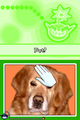 Thumbnail for version as of 01:32, December 18, 2009