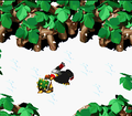 Thumbnail for version as of 05:44, June 26, 2009