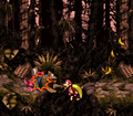 Thumbnail for version as of 19:41, September 6, 2008