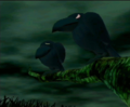 Thumbnail for version as of 23:46, August 9, 2010