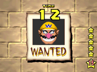 NM NSMB Wanted.png