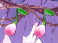 NoteFruits YATMB.png