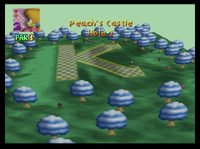 PeachCastleHole2.png
