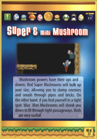NSMBWiiTC-46-Back.png