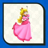 PN SMBW Character Poll opt3.jpg