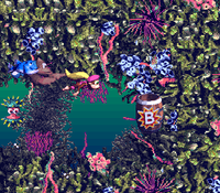FishFoodFrenzy-SNES-Bonus.png
