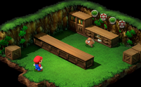 ItemShopInterior MonstroTown SMRPG-NS.png