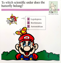 Order butterfly quiz card.png